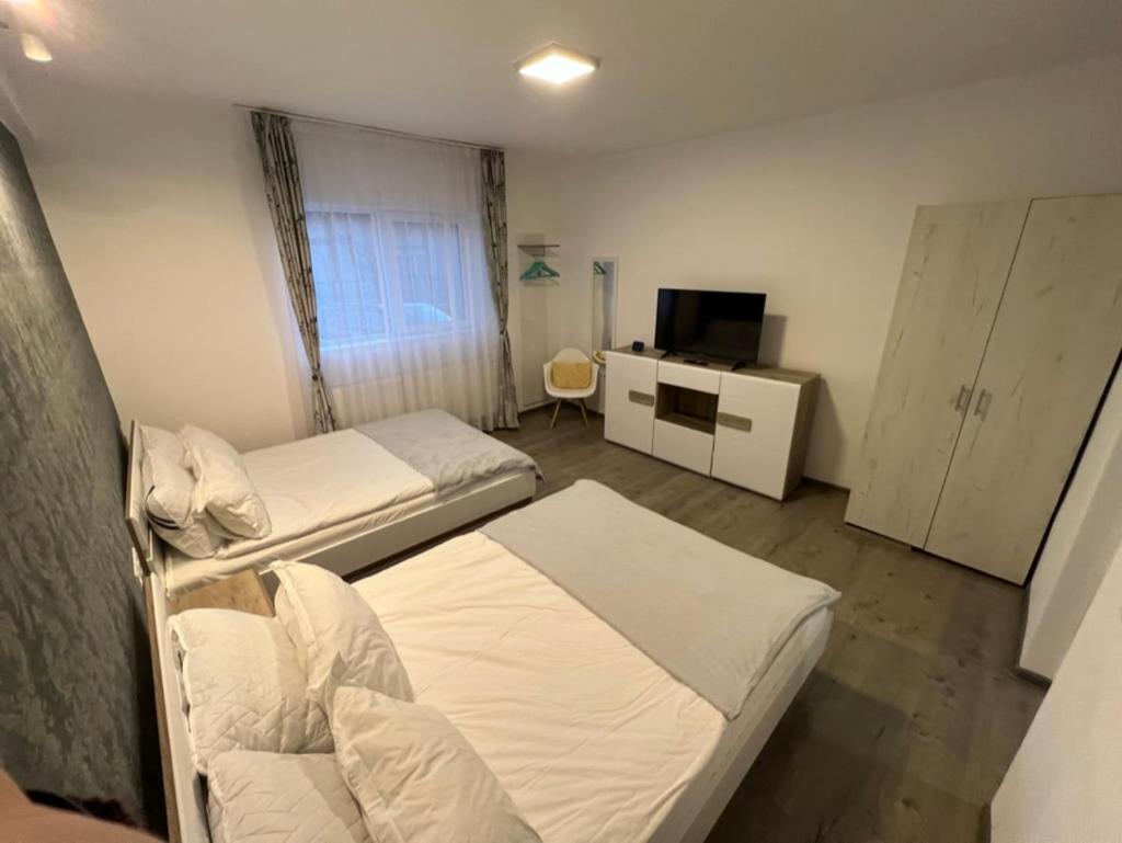 1-Beadroom Apartment With Free Parking Turda Exteriör bild